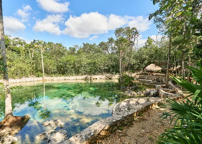 Villa Tortuga Lux 4 Bdr Big Garden*pool *cenote Tulum
